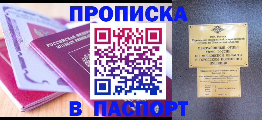 прописка законно в Камышлове